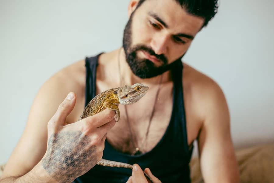 What If You Forget to Feed Your Beardie?
