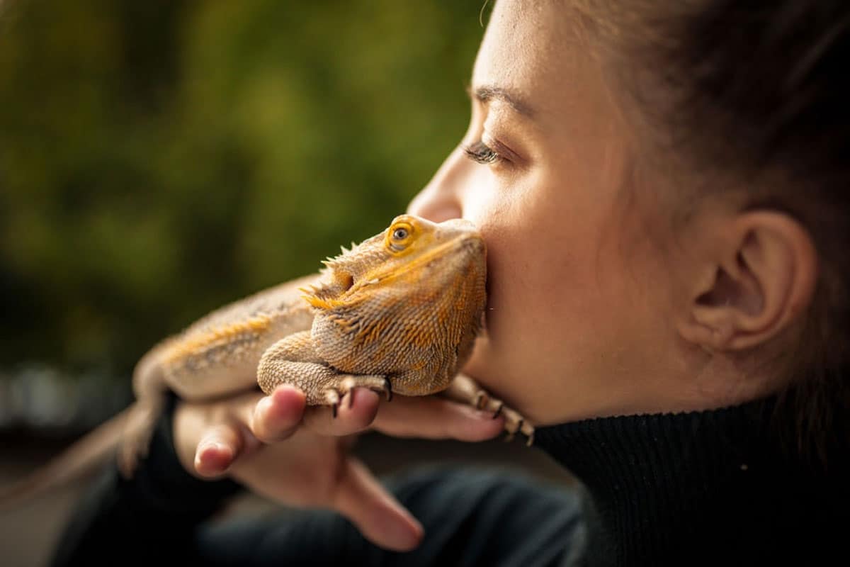 Best Bearded Dragon Names Cute Cool And Funny 100 Names 