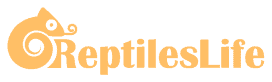 Reptiles Life