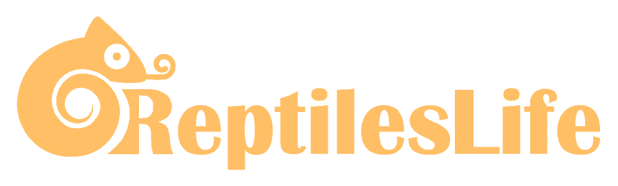 Reptiles Life