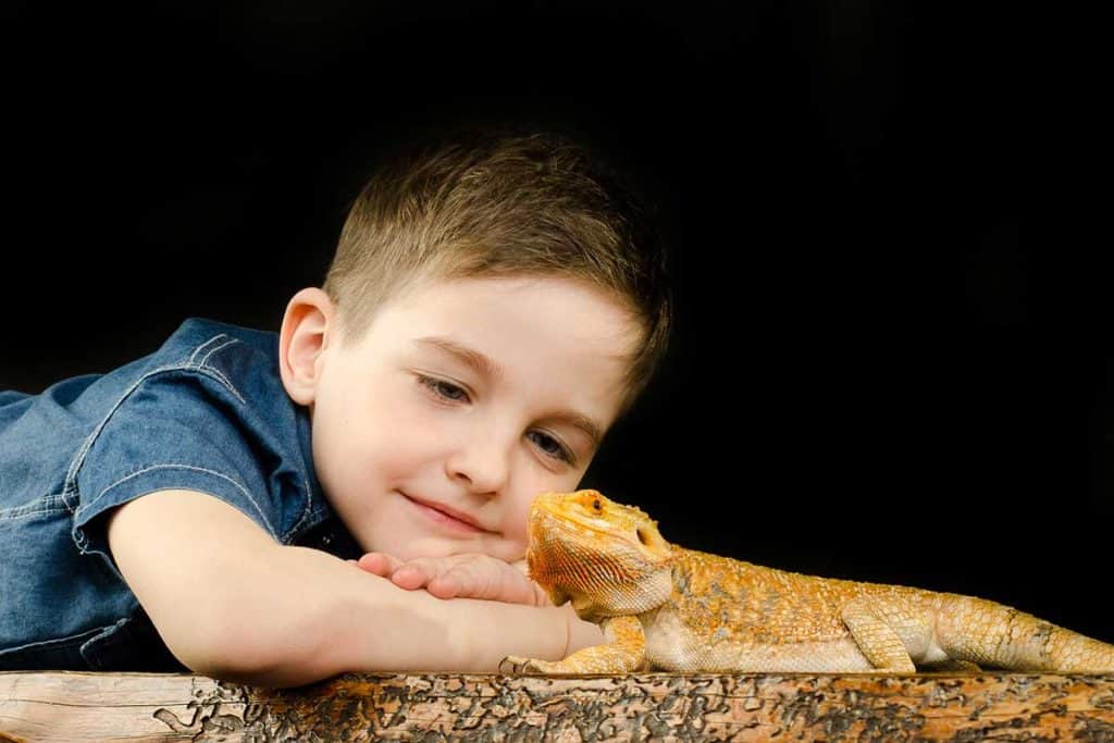 best lizards for kids