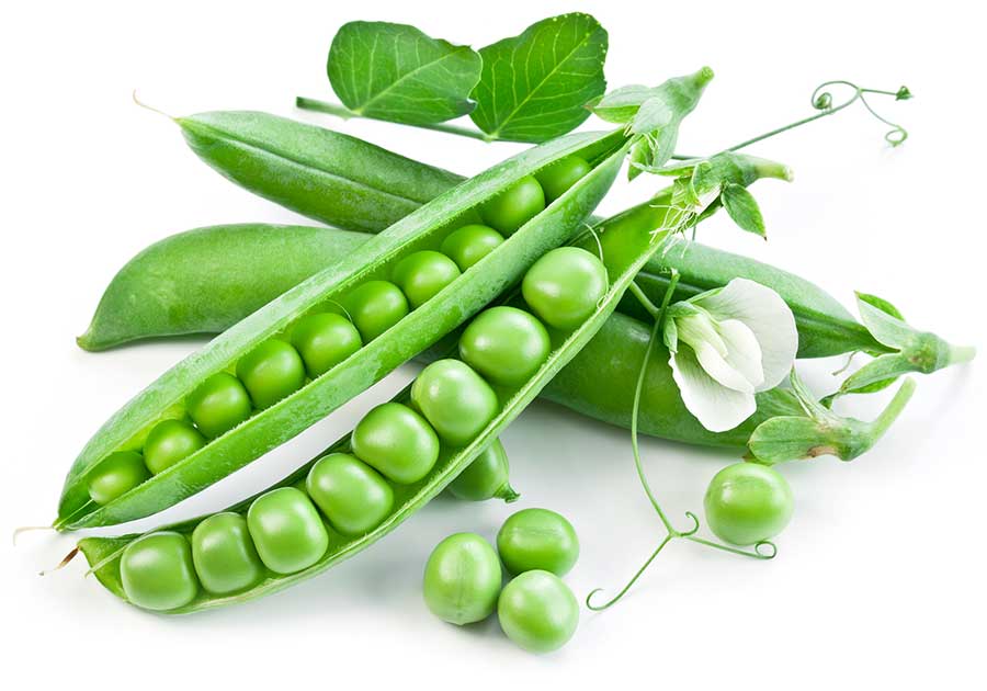 Nutritional Information of Peas