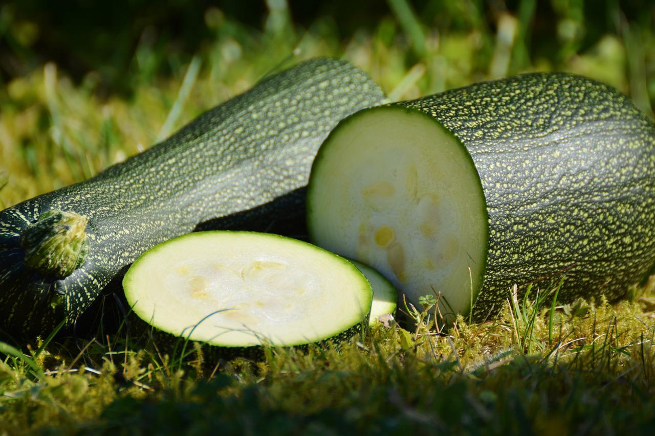 Can Bearded Dragons Eat Zucchini