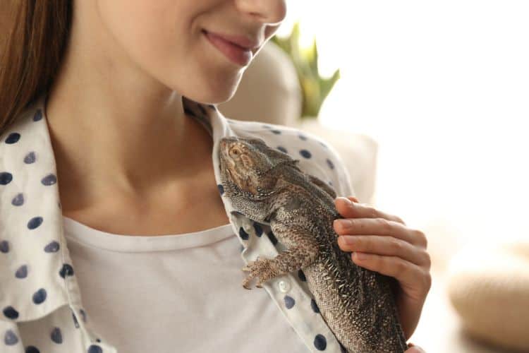 Young woman holding a bearded dragon